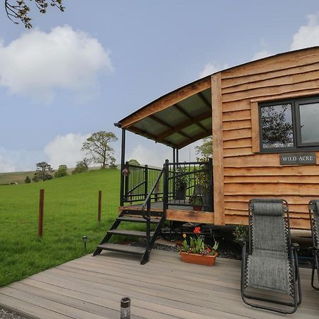 Вилла Wild Acre Llangadog Экстерьер фото