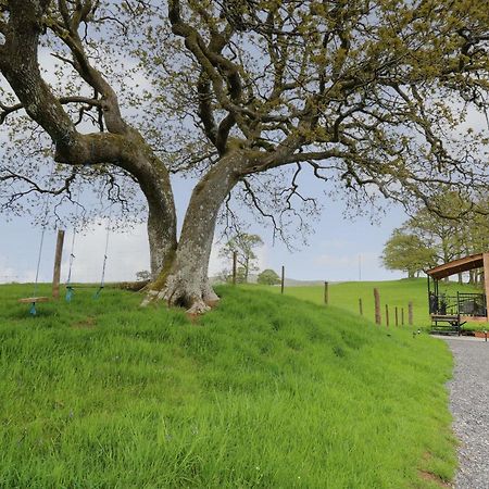 Вилла Wild Acre Llangadog Экстерьер фото