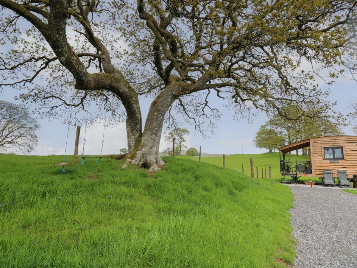 Вилла Wild Acre Llangadog Экстерьер фото